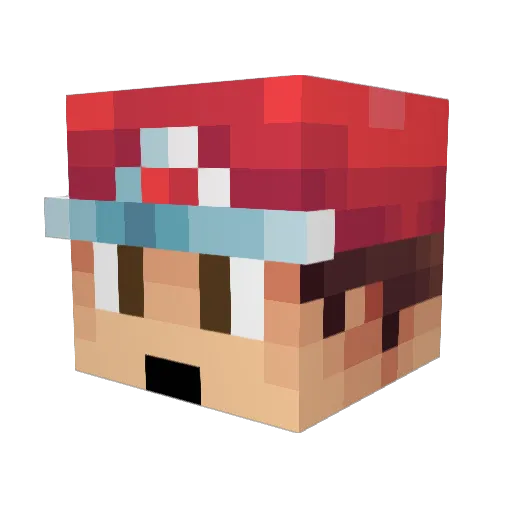 Fr3cklez_ Minecraft avatar head, 3D render