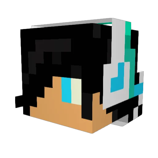 Fr3do_ Minecraft avatar head, 3D render