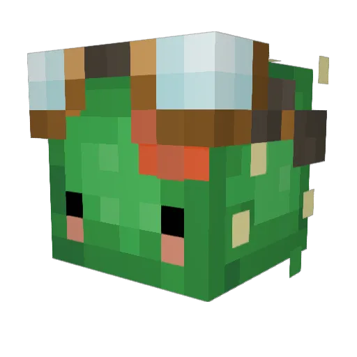 Fr3mBreard Minecraft avatar head, 3D render