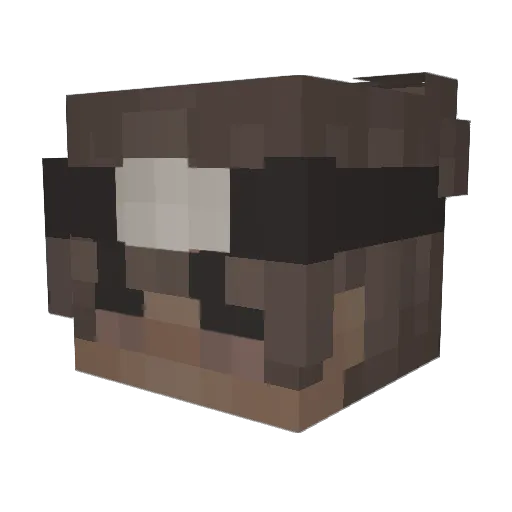 Fr3zzy_ Minecraft avatar head, 3D render