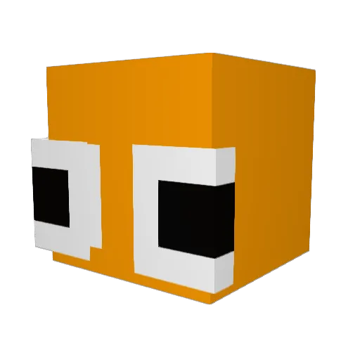 Fr4ncja_ Minecraft avatar head, 3D render