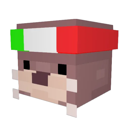 Fr4nn_ Minecraft avatar head, 3D render