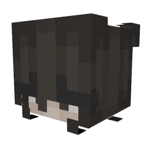 Fr4ny Minecraft avatar head, 3D render