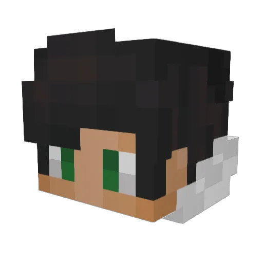 Fr4sky Minecraft avatar head, 3D render