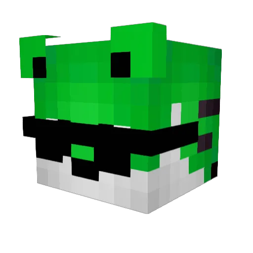 FrAnNnNo Minecraft avatar head, 3D render