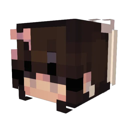 FrAncIscA_22 Minecraft avatar head, 3D render