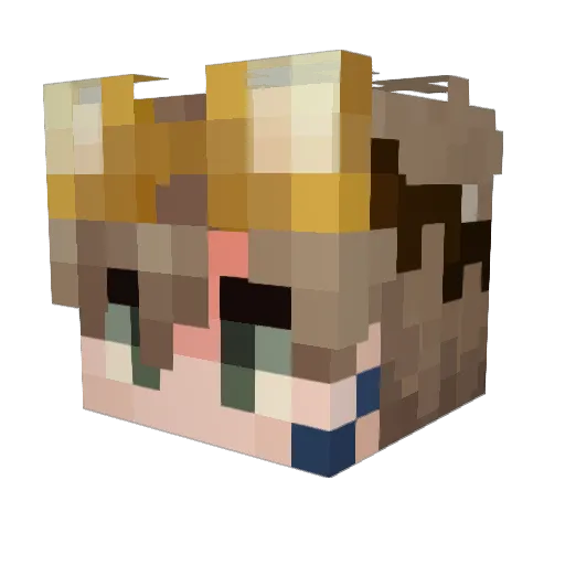 FrToast_MC Minecraft avatar head, 3D render
