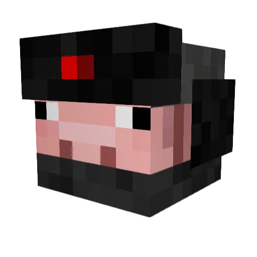 FrZ_Timm Minecraft avatar head, 3D render