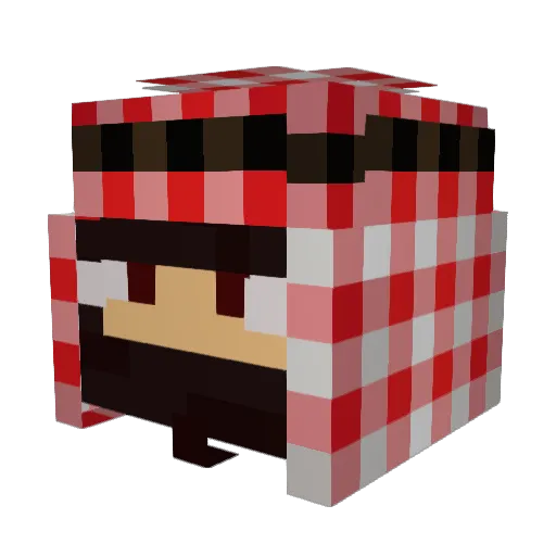 Fra3er1 Minecraft avatar head, 3D render