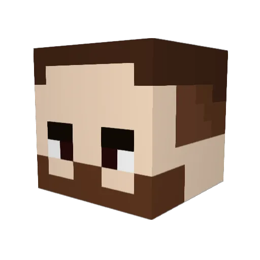 FraNkit0xs Minecraft avatar head, 3D render