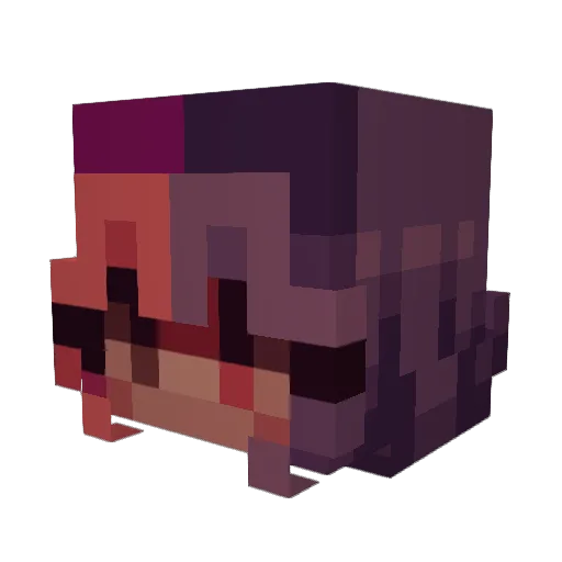 Frabilu Minecraft avatar head, 3D render