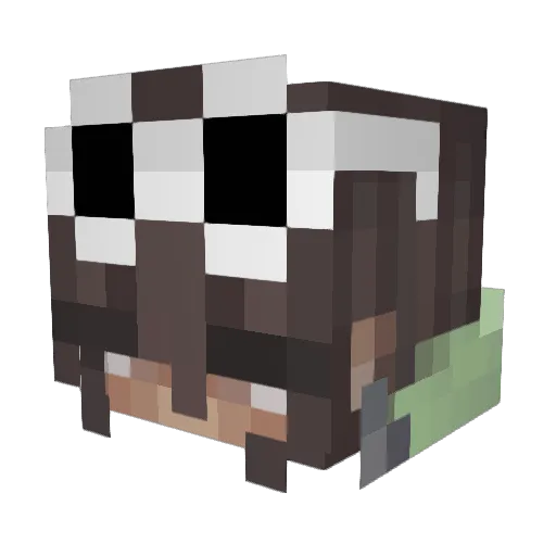 Fracek72 Minecraft avatar head, 3D render