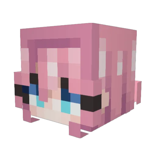Fraces234 Minecraft avatar head, 3D render