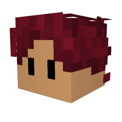 Fracn0 Minecraft avatar head, 3D render