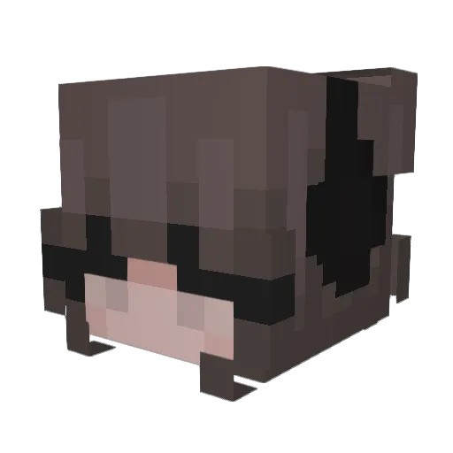 Fractured_Nugget Minecraft avatar head, 3D render