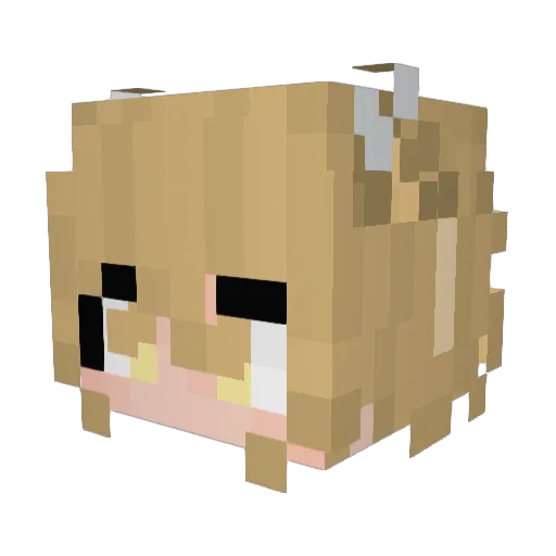 Fraffy1227 Minecraft avatar head, 3D render