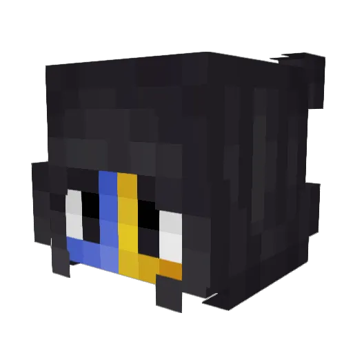 Fraggy1 Minecraft avatar head, 3D render
