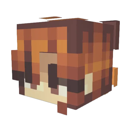 FragileRapier40 Minecraft avatar head, 3D render