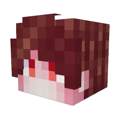 Fraigom Minecraft avatar head, 3D render