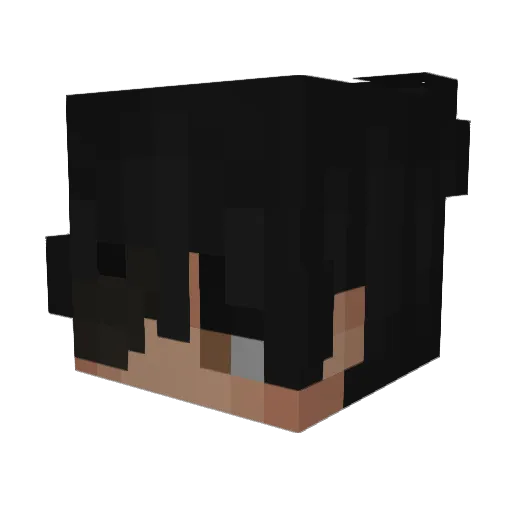 FrailTadpole550 Minecraft avatar head, 3D render