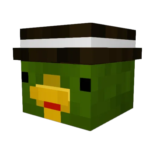 Fraime_ Minecraft avatar head, 3D render