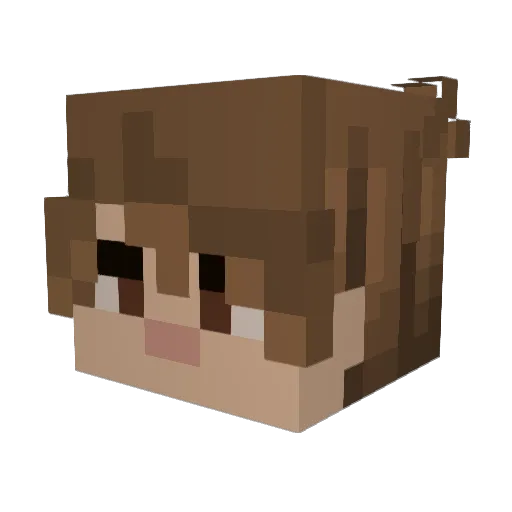 FraizerIsGood Minecraft avatar head, 3D render
