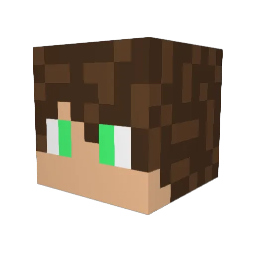 Fralin Minecraft avatar head, 3D render