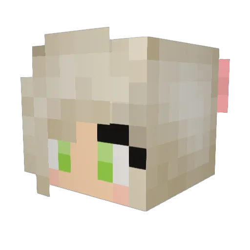 FramingSavannahx Minecraft avatar head, 3D render