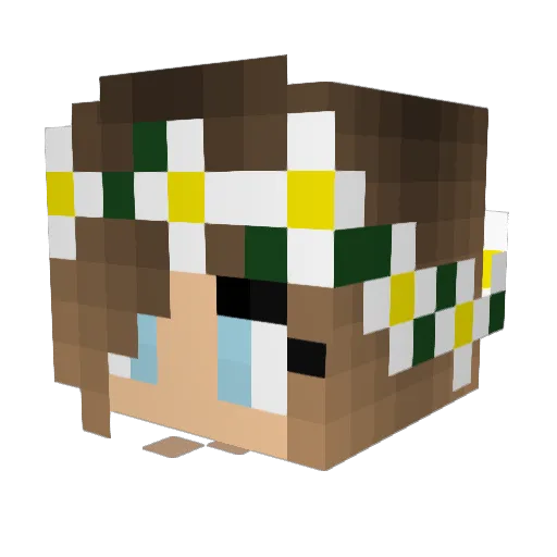Fran03 Minecraft avatar head, 3D render