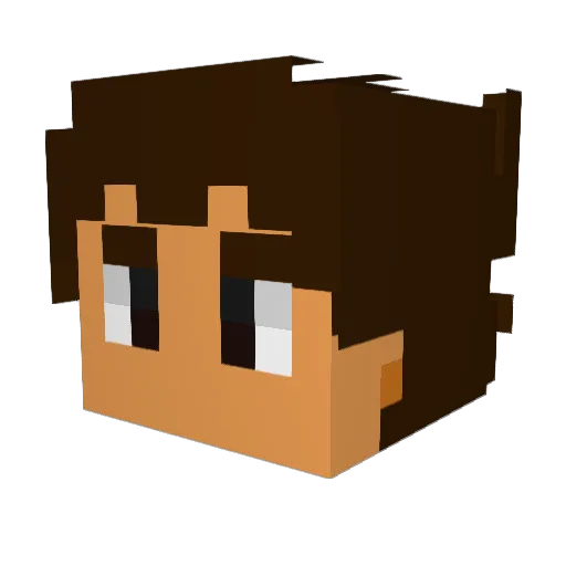 Fran1017 Minecraft avatar head, 3D render
