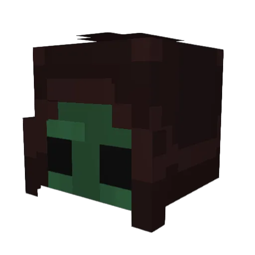 Fran211811 Minecraft avatar head, 3D render