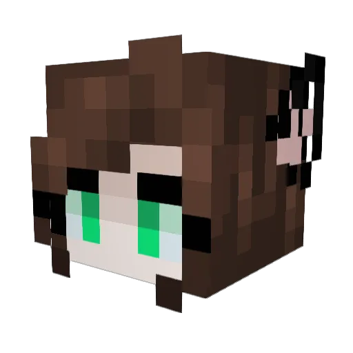 Fran321tec2 Minecraft avatar head, 3D render