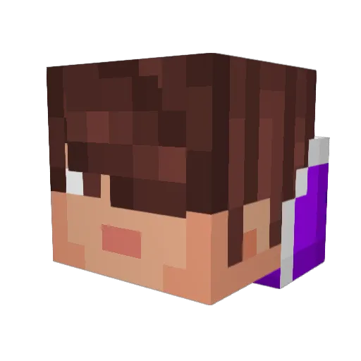 Fran3k_ Minecraft avatar head, 3D render