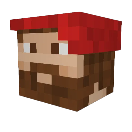 FranCio11 Minecraft avatar head, 3D render