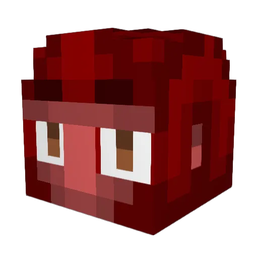 FranCuCo Minecraft avatar head, 3D render