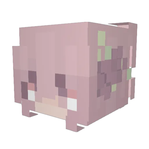 FranOstojic Minecraft avatar head, 3D render