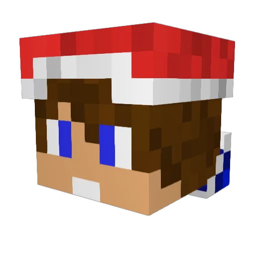 FranPlaus Minecraft avatar head, 3D render
