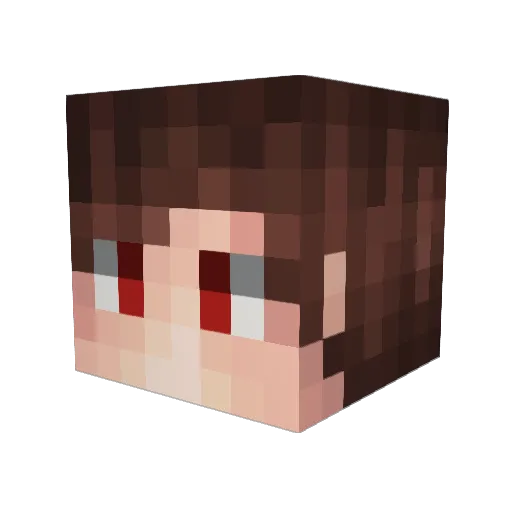 FranX078 Minecraft avatar head, 3D render
