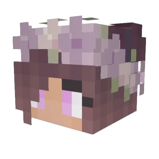 Fran_Craft28 Minecraft avatar head, 3D render
