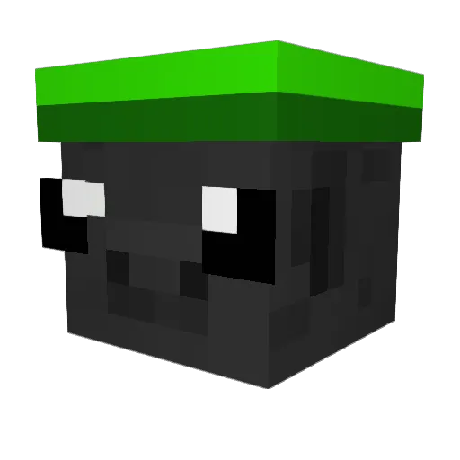 Fran_szw Minecraft avatar head, 3D render