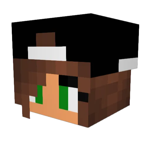 Franc03 Minecraft avatar head, 3D render