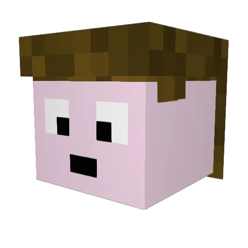 Francesco2090 Minecraft avatar head, 3D render