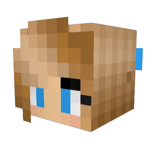 FranceyBlue Minecraft avatar head, 3D render