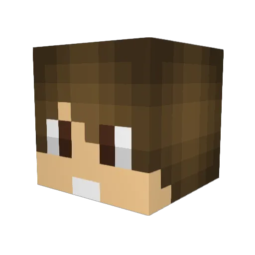 FranchoPancho15 Minecraft avatar head, 3D render