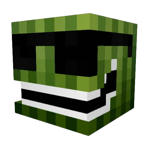 Franci196 Minecraft avatar head, 3D render