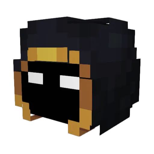 Francis2452 Minecraft avatar head, 3D render