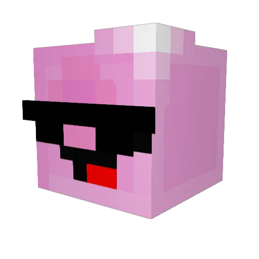 FrancisDaNinja Minecraft avatar head, 3D render