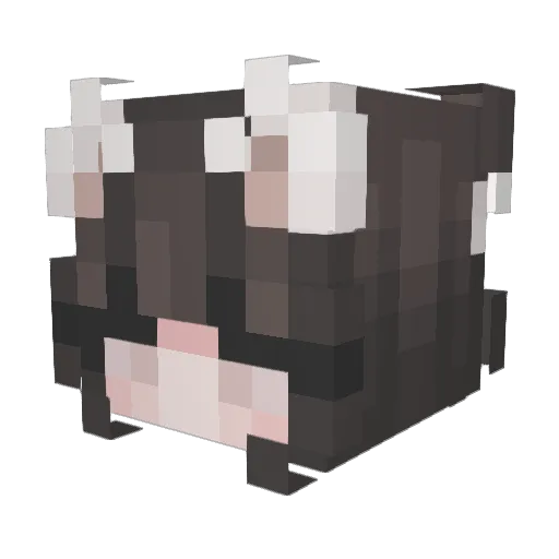 Francisca_chan Minecraft avatar head, 3D render