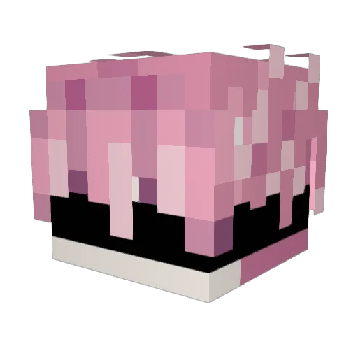 Francisco26 Minecraft avatar head, 3D render