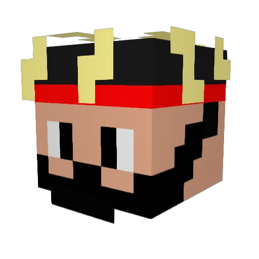 Franciscoplay46 Minecraft avatar head, 3D render